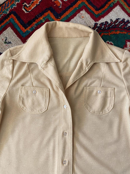 Vintage 1970s Beige Dagger Collar Shirt