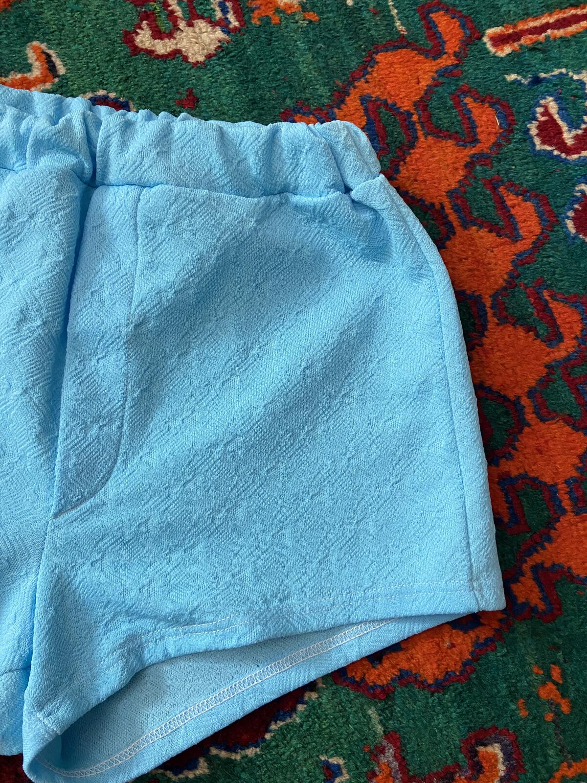Vintage 1970s Pale Blue Swim Shorts