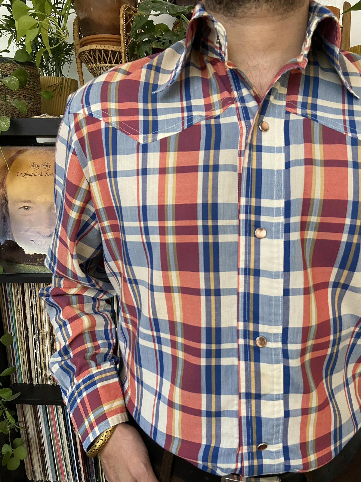 Vintage 1970s Dagger Collar Red & Blue Western Shirt