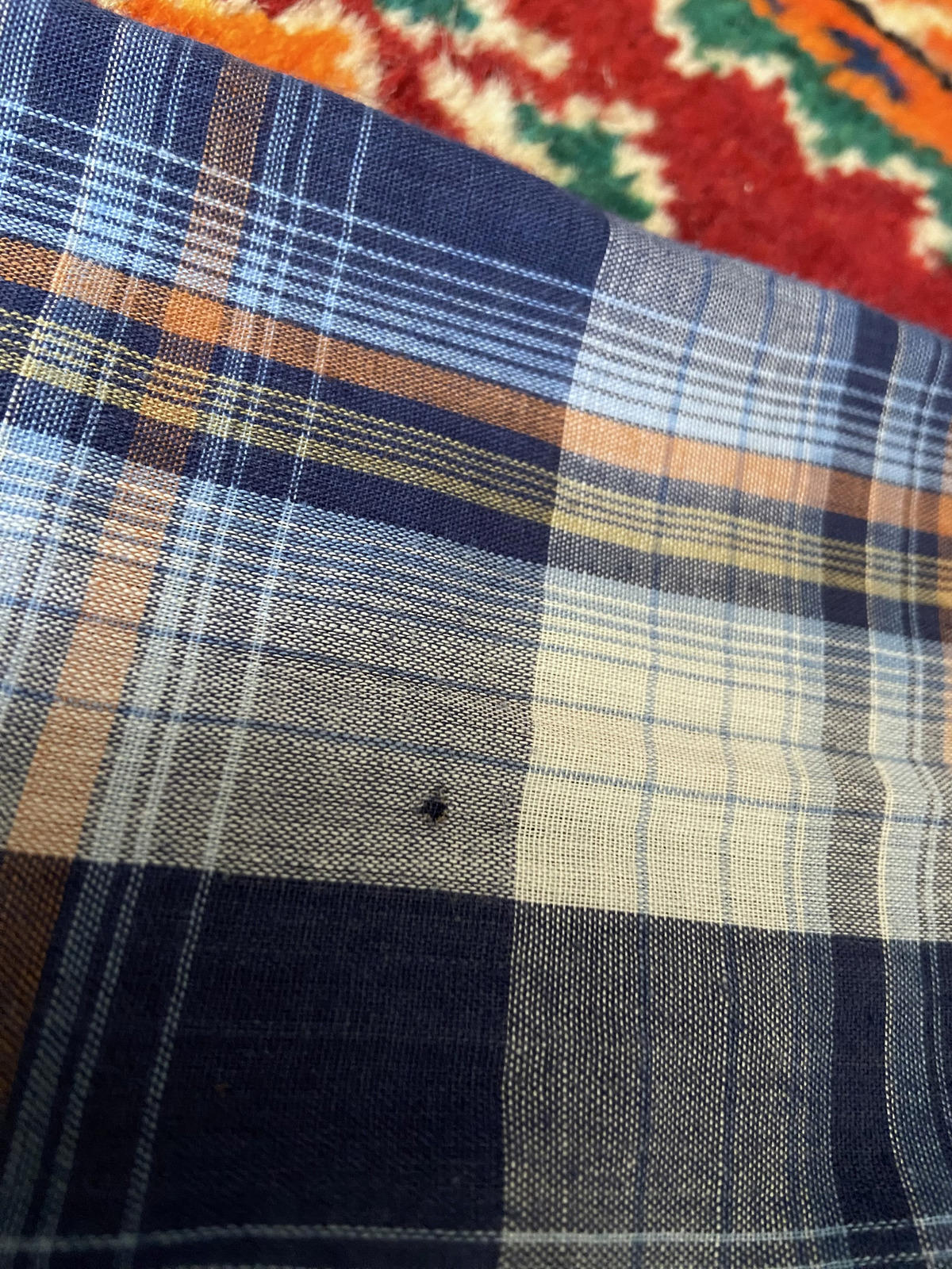 Vintage 1970s Blue & Rust Checked Western Shirt