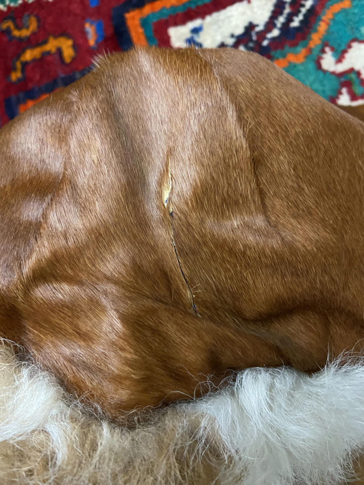 Vintage 1970s Tan Cowhide Hooded Afghan Coat