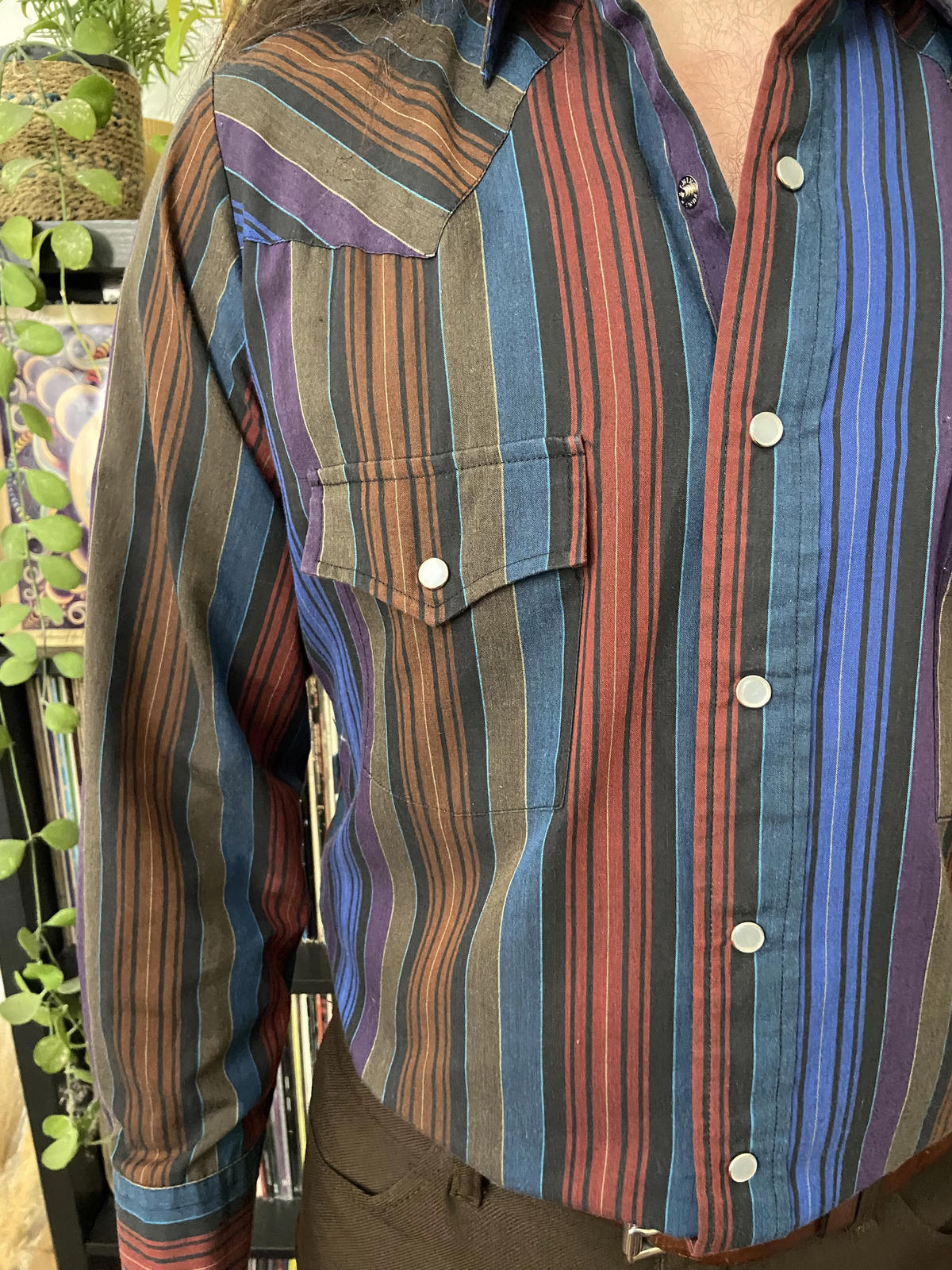 Vintage Plainsman Striped Western Shirt