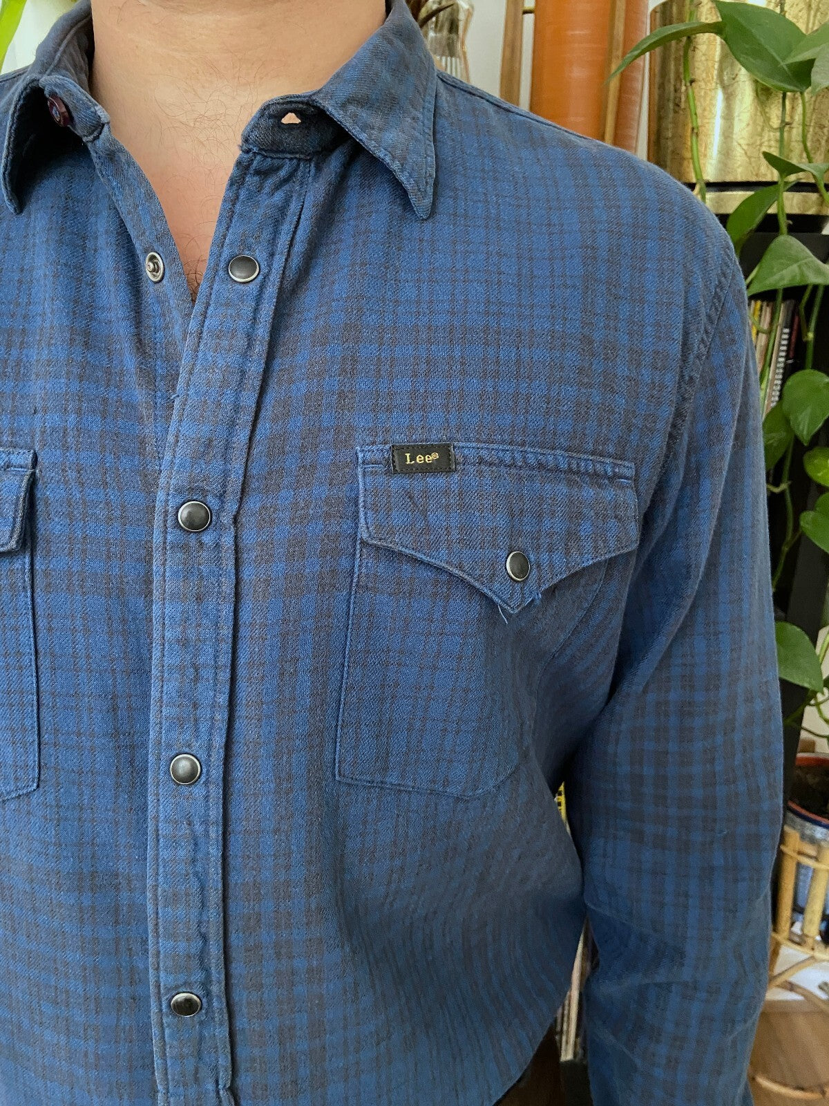 Vintage Y2K Lee Western Shirt