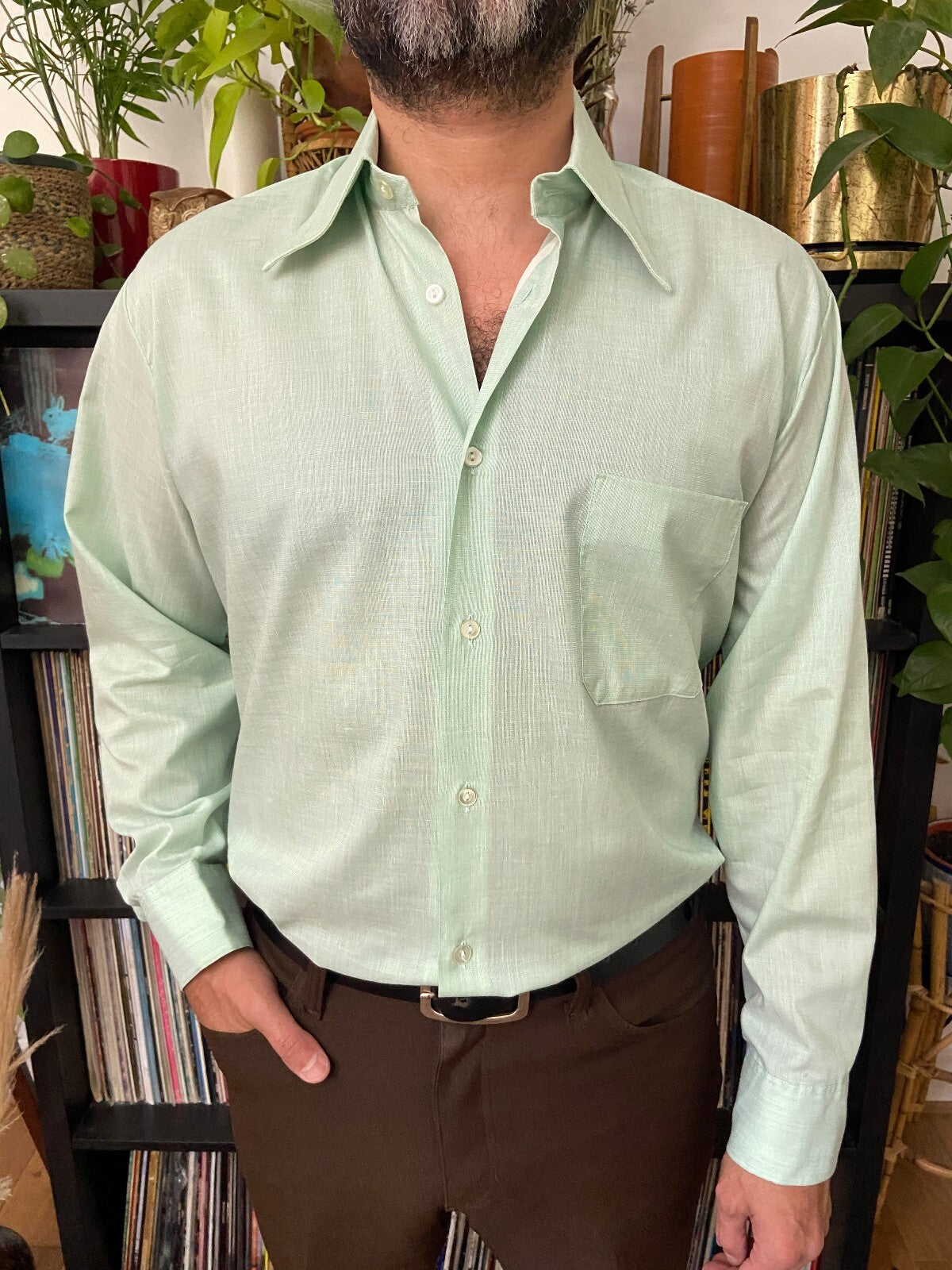 Vintage 1970s Mint Green Dagger Collar Shirt