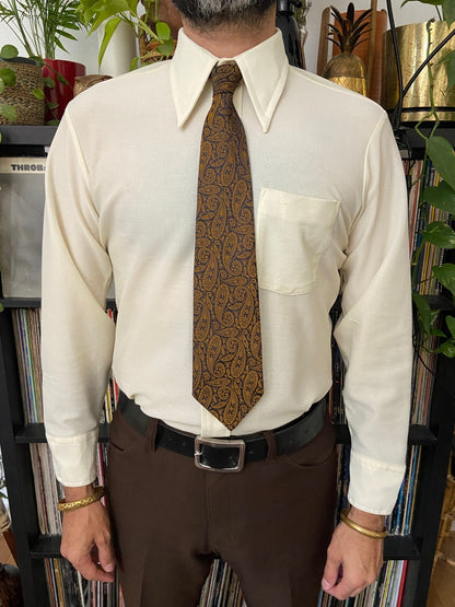 Vintage 1970s Bronze Paisley Tie