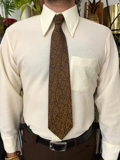 Vintage 1970s Bronze Paisley Tie