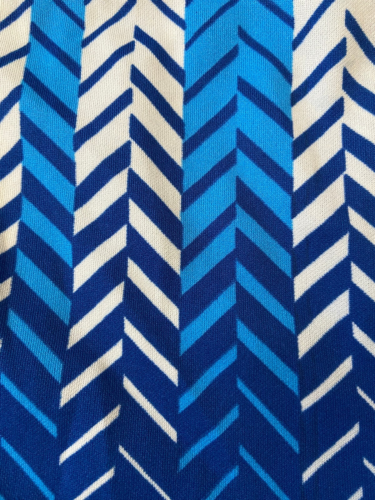 Vintage 1970s Blue & White Swim Shorts