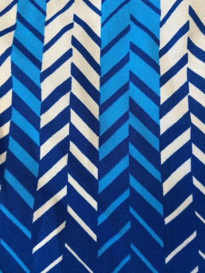 Vintage 1970s Blue & White Swim Shorts