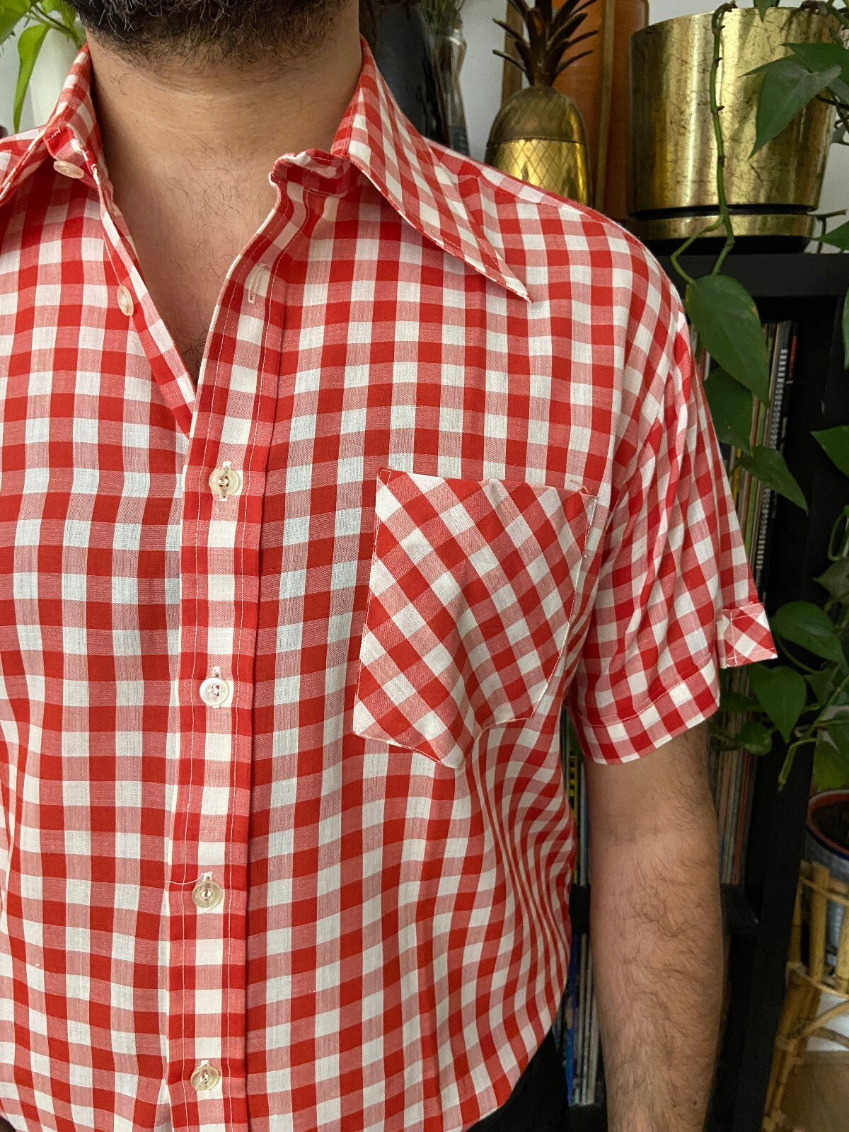 Vintage 1970s Red Gingham Dagger Collar Shirt