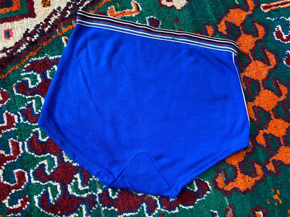 Vintage 1970s Bright Blue High Waisted Swim Shorts
